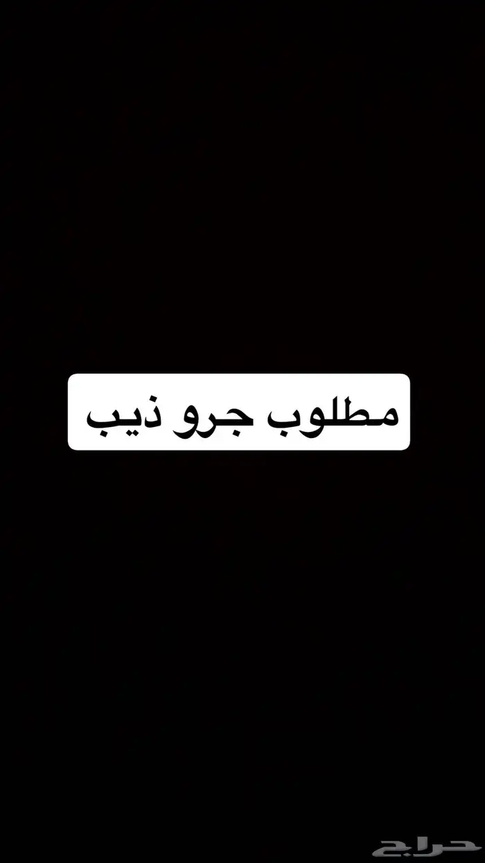 مطلوب جرو ذيب 0
