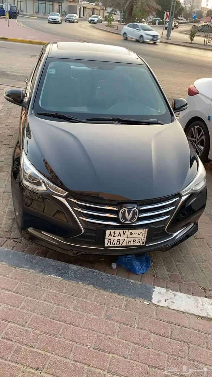 شانجان السفن فل كامل 2020 8