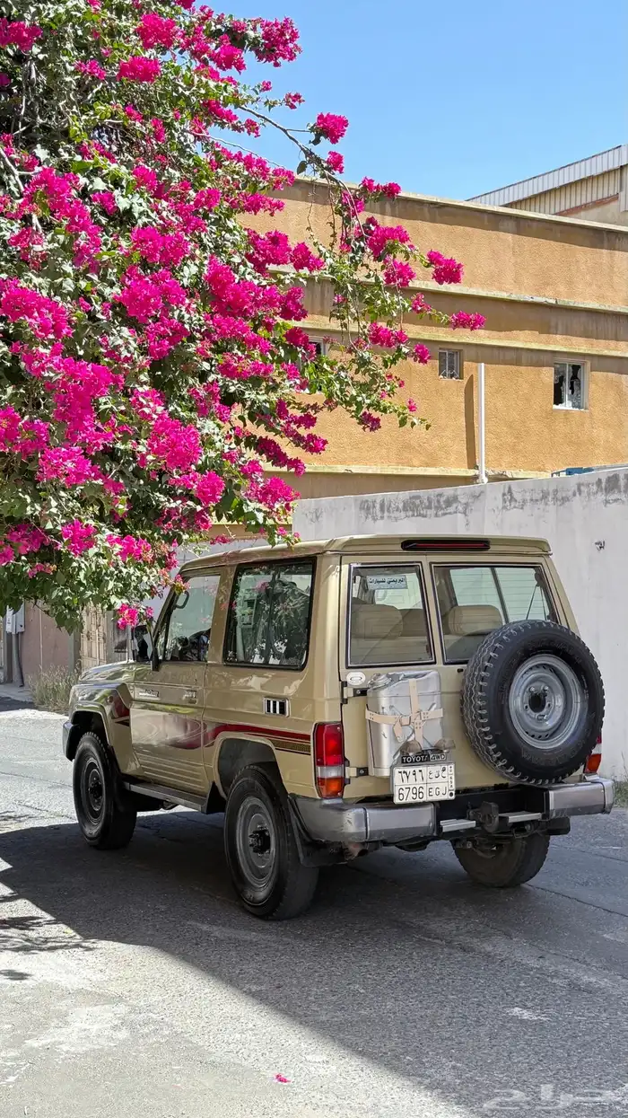 ربع 2015 بريمي 3