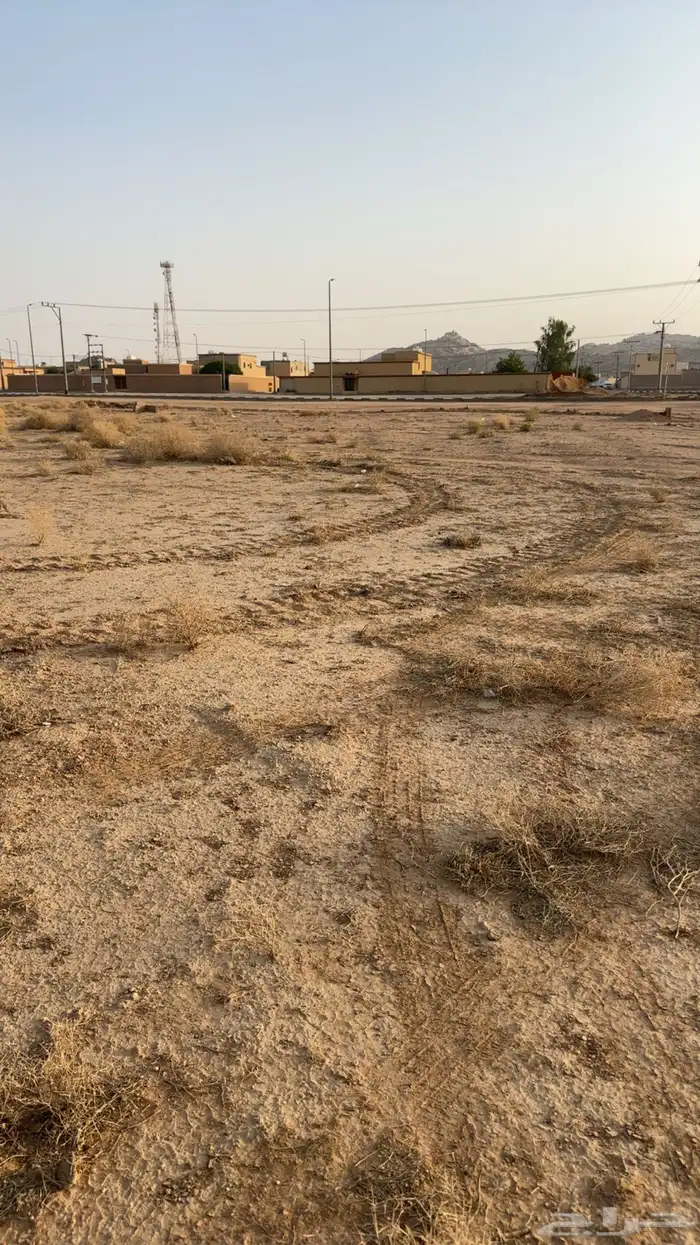 ارض رخيص للبيع القصيم الرس 1