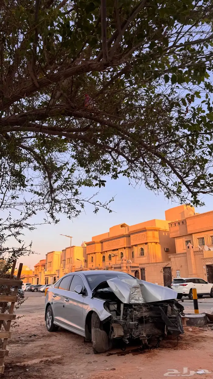 سوناتا 2018 2