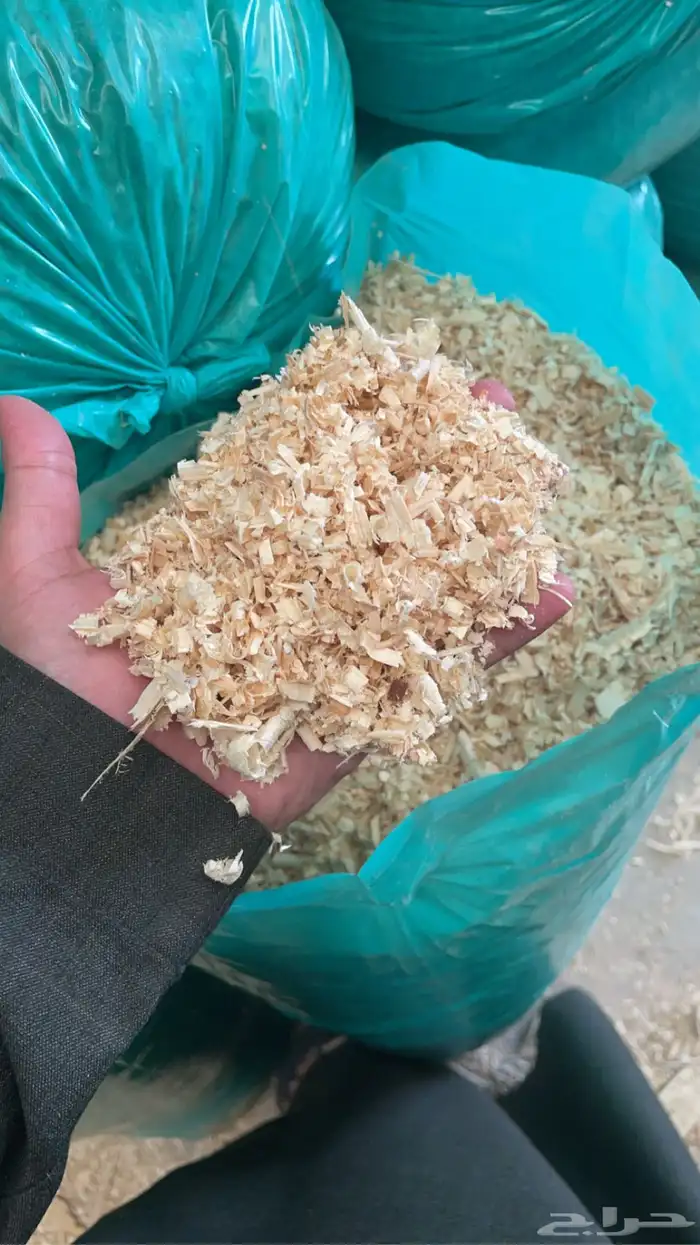 نشارة خشب 2