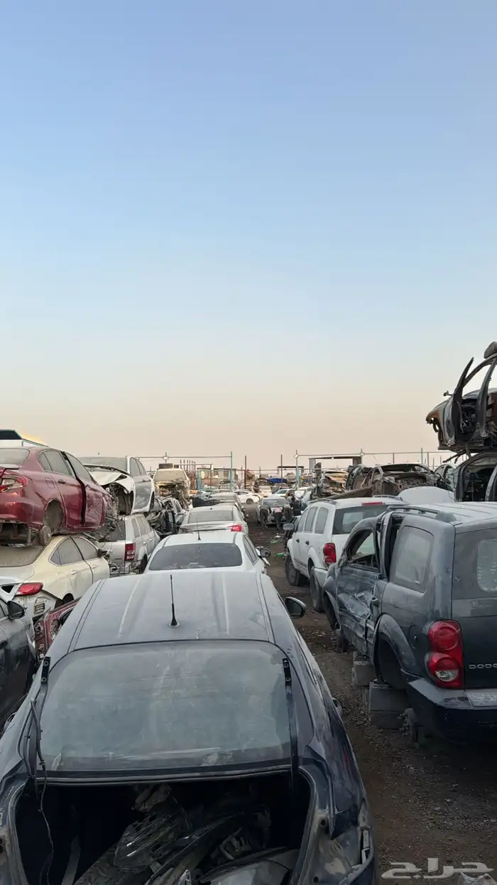 قطع دودج نيون 1