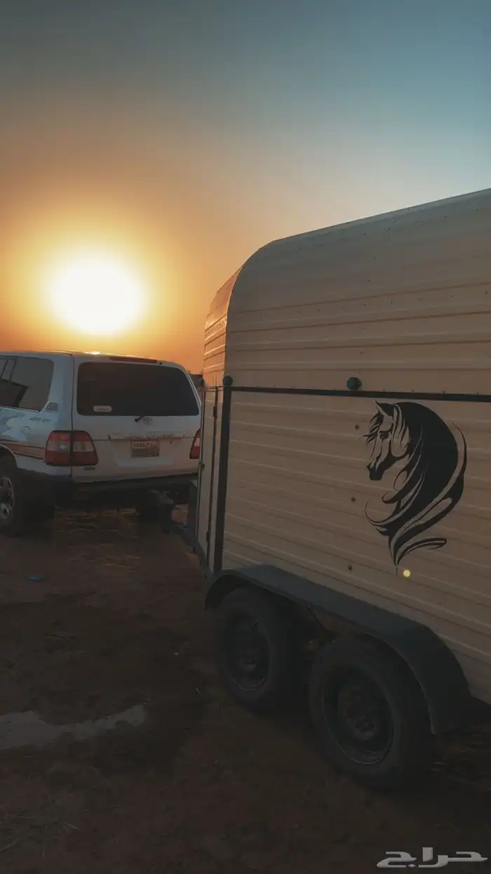 نقل خيل من الجنوب عسير ابها الى القصيم .الطايف.عفيف.الرياض 0