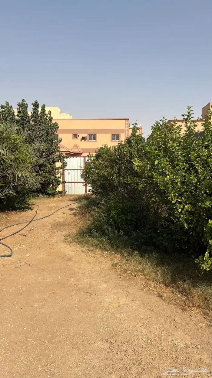 عماره للبيع 12