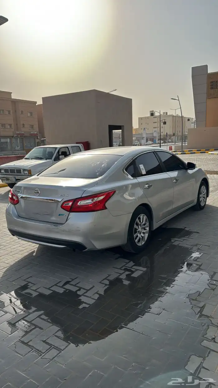 التيماء استاندر نظيف 5