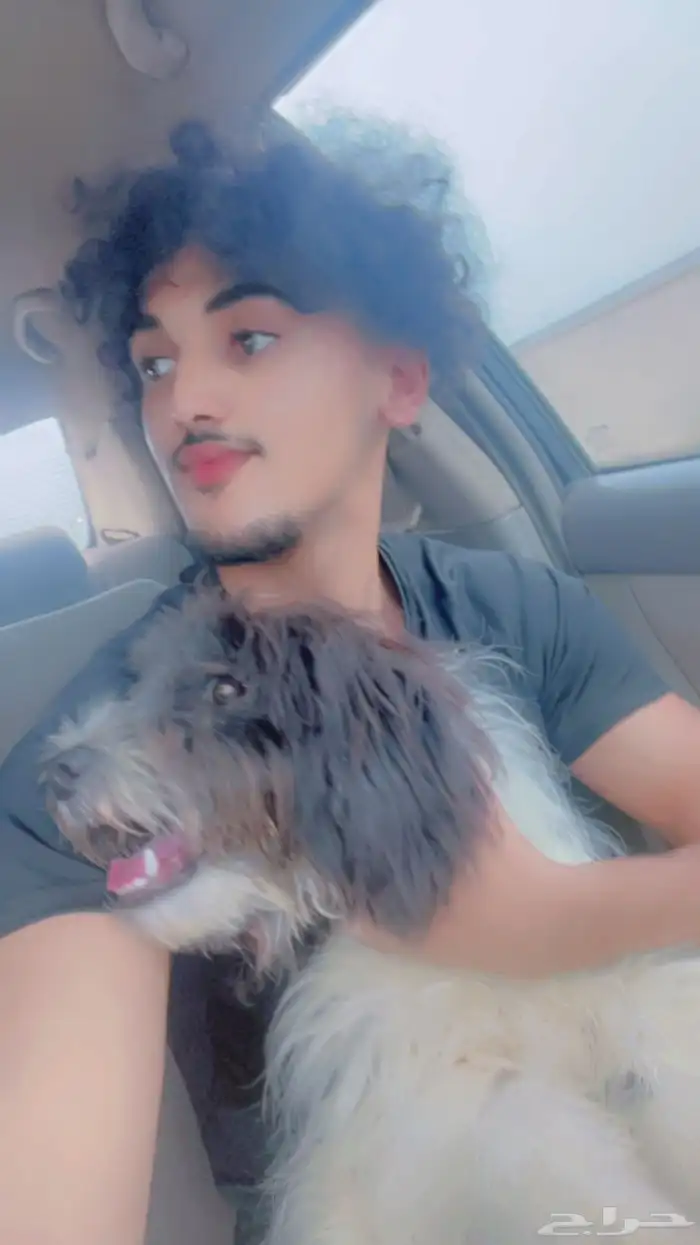 كلب لا البيع 6