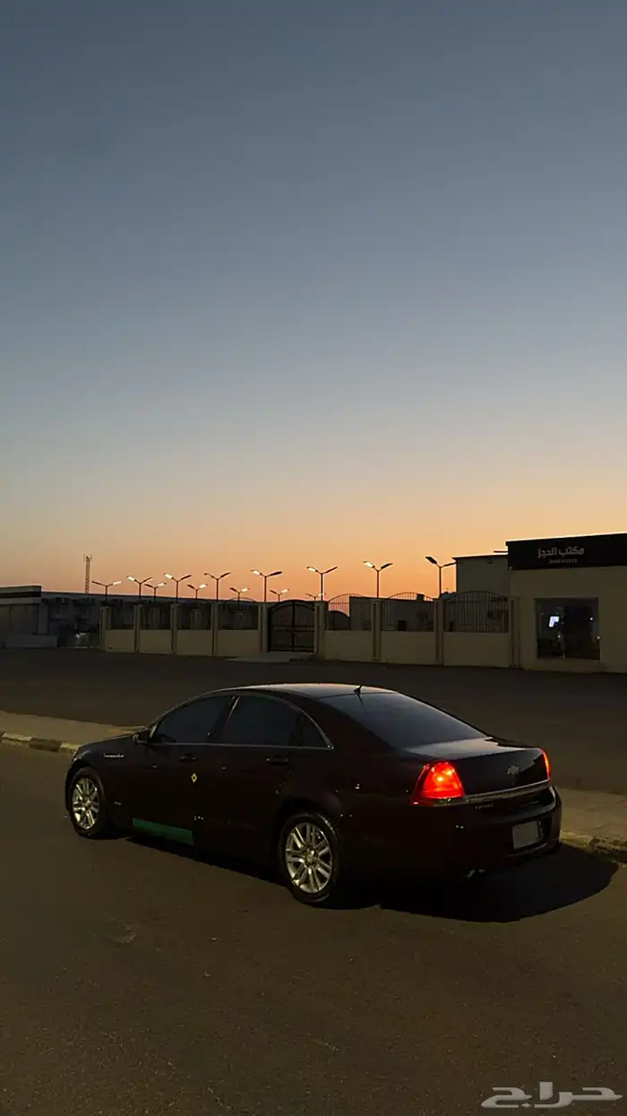كابرس 2013 10