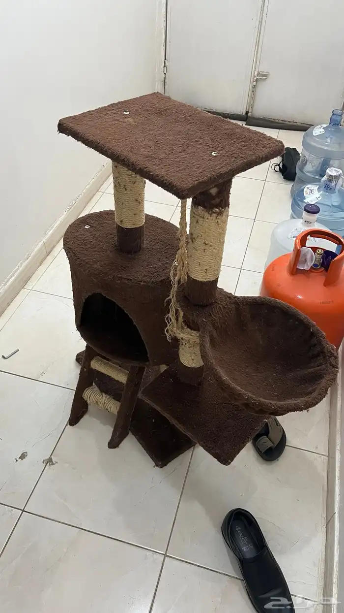 بيت قطط 1
