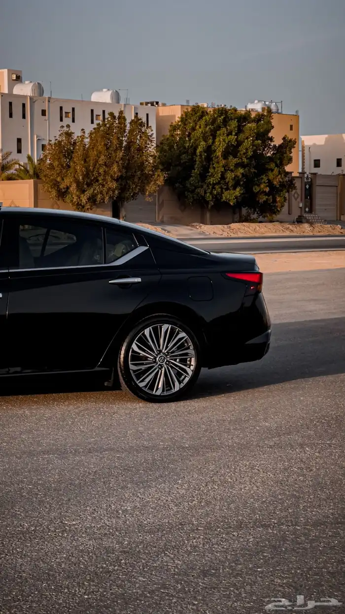 التيما 2023 SL 0