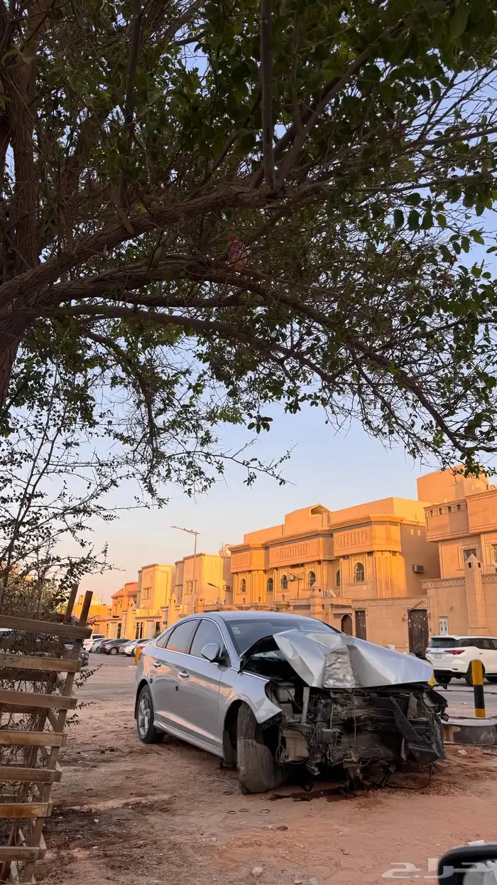 سوناتا 2018 1