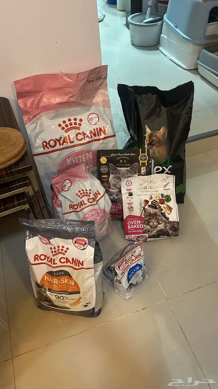 cat food 0