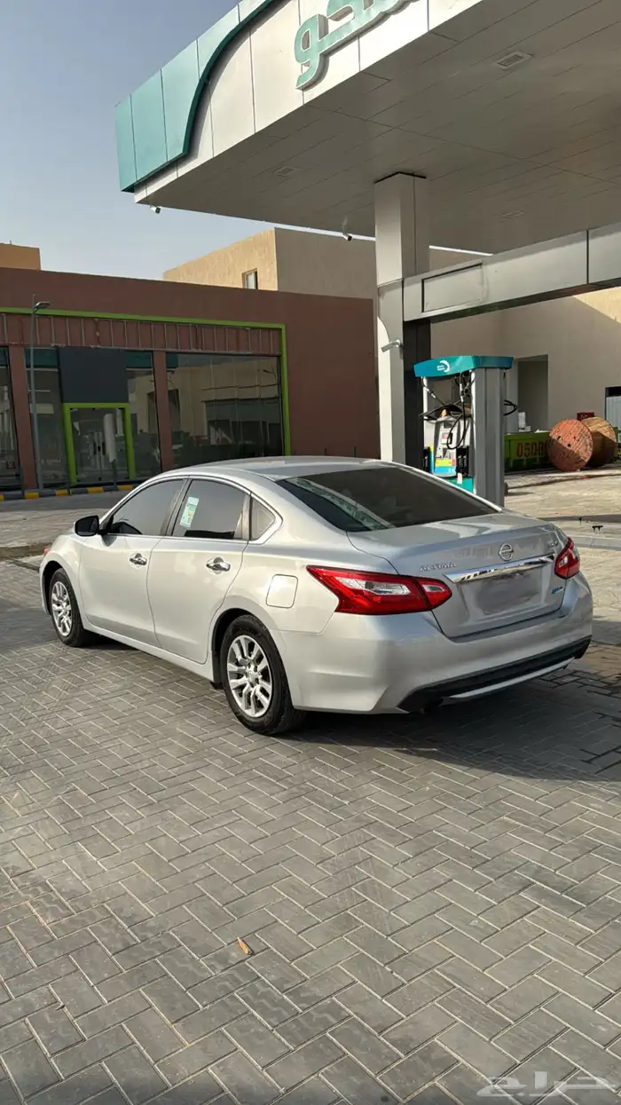 التيماء استاندر نظيف 6