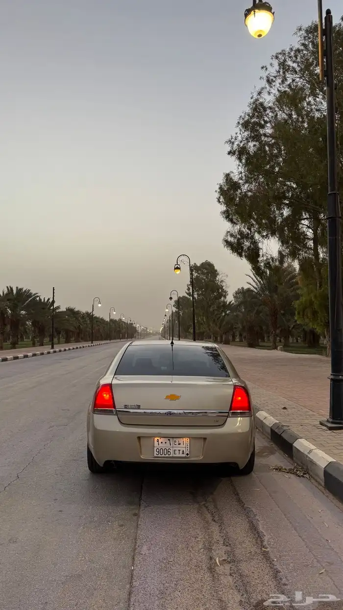 كابرس 2009 8