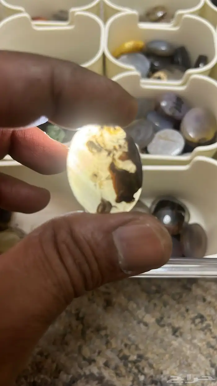 وصول دفعه جديده خواتم 7