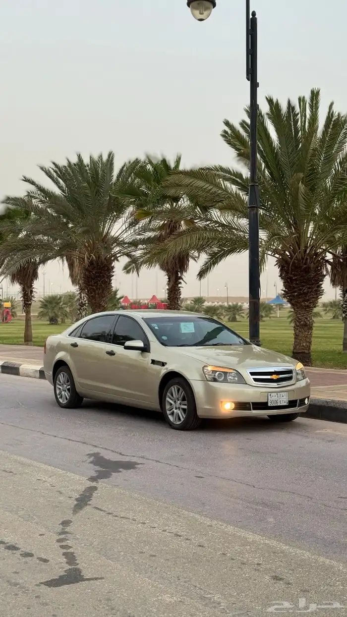 كابرس 2009 11