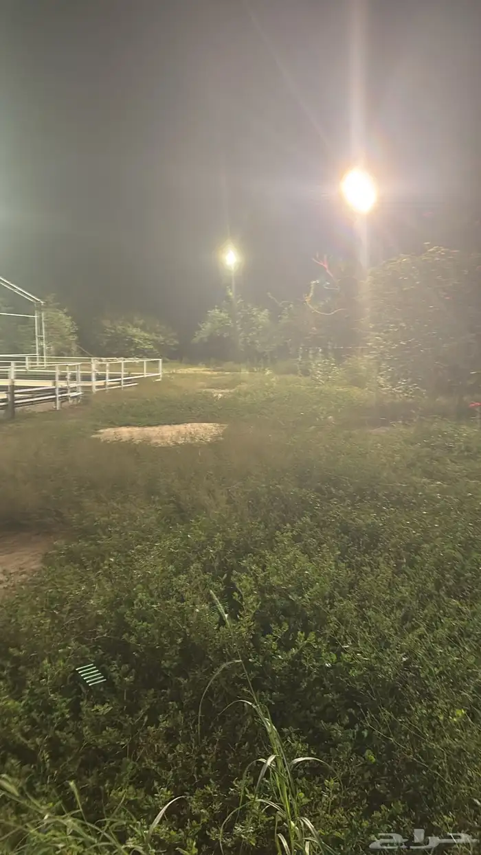 فرص استثمارية شتوية في تهامة 3