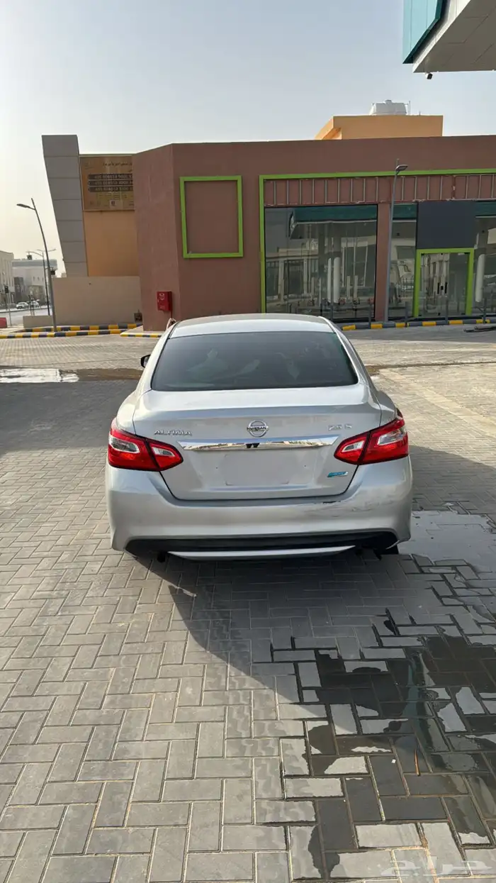 التيماء استاندر نظيف 7