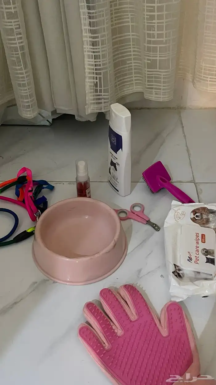 اغراض قطط 2