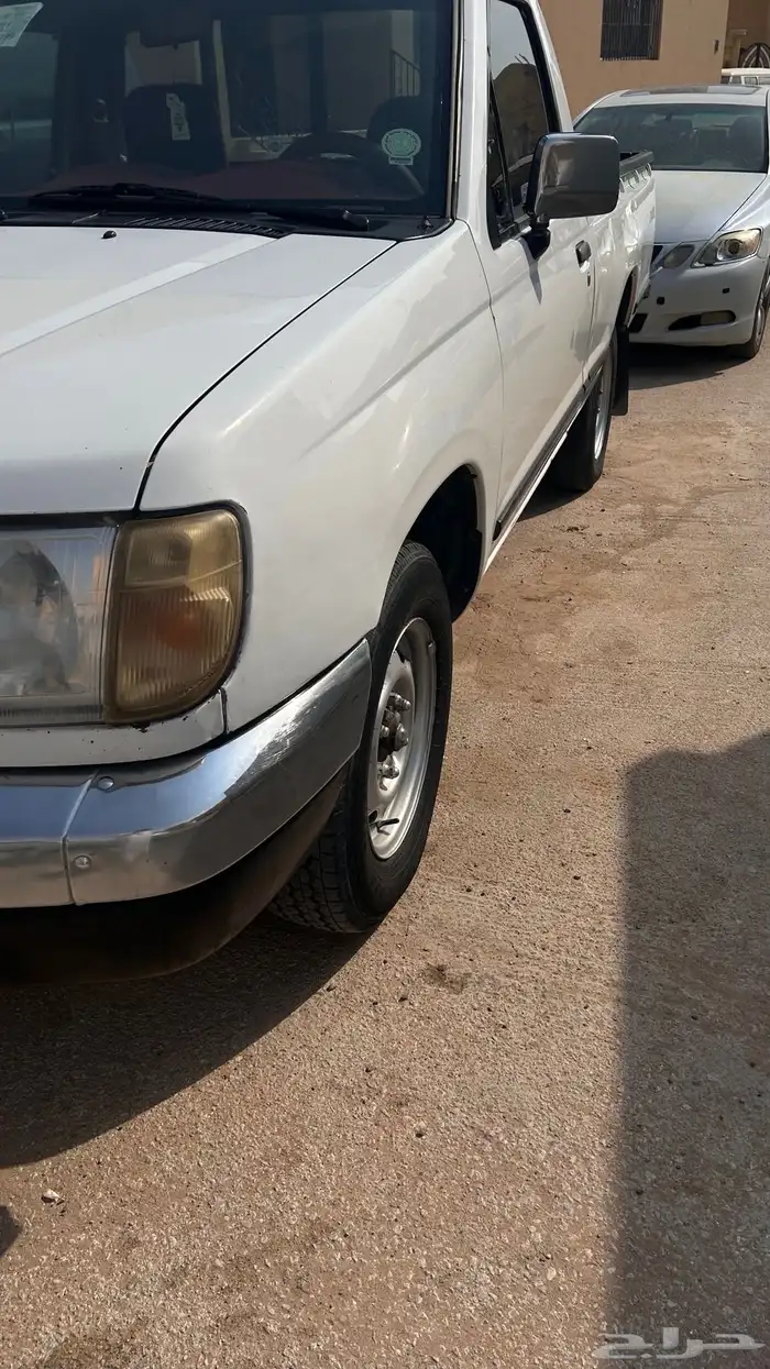 ددسن غمارة 11