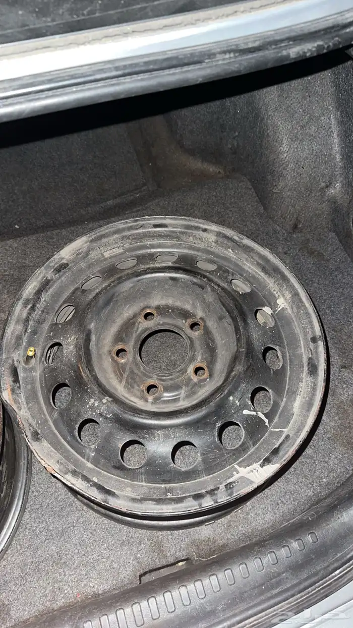 جنوط النتراء اصليه للبيع 2