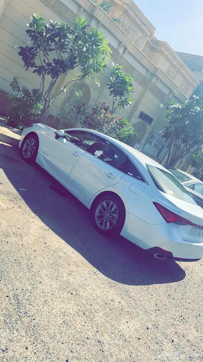 افلون 2019 2