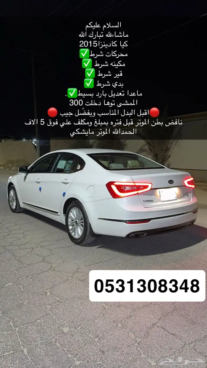 كادينزا2015 10