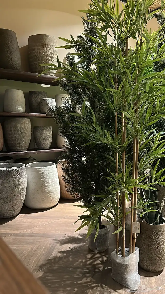 مراكن بطابع ريفي 2