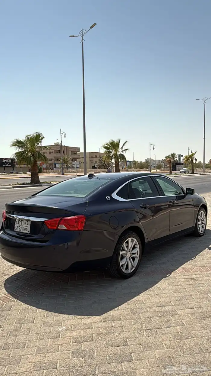 امبالا 2019 ممشى 245 8