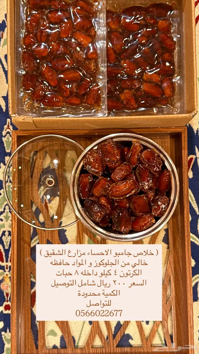 خلاص الاحساء جامبو 0