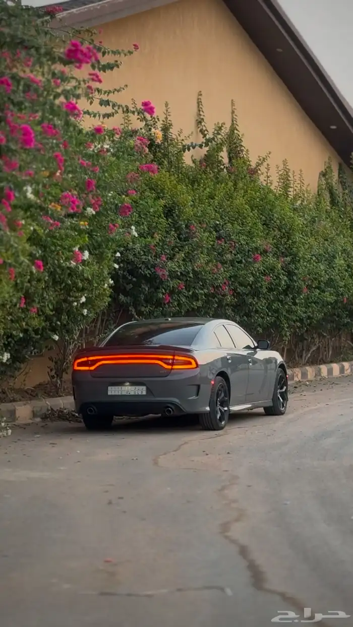دوج 3