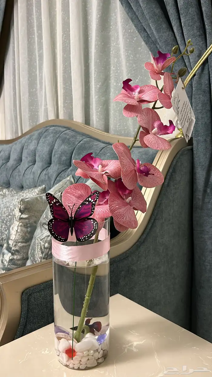 هديه سمكة الفايتر 0