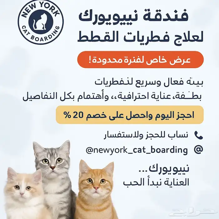 فندقة فطريات 0