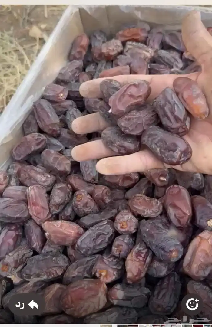 ثمر خضري للبيع 1