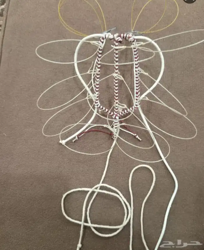 شبك مقناص حمام قطا قمري سمان جربوع نقل قراشع 48