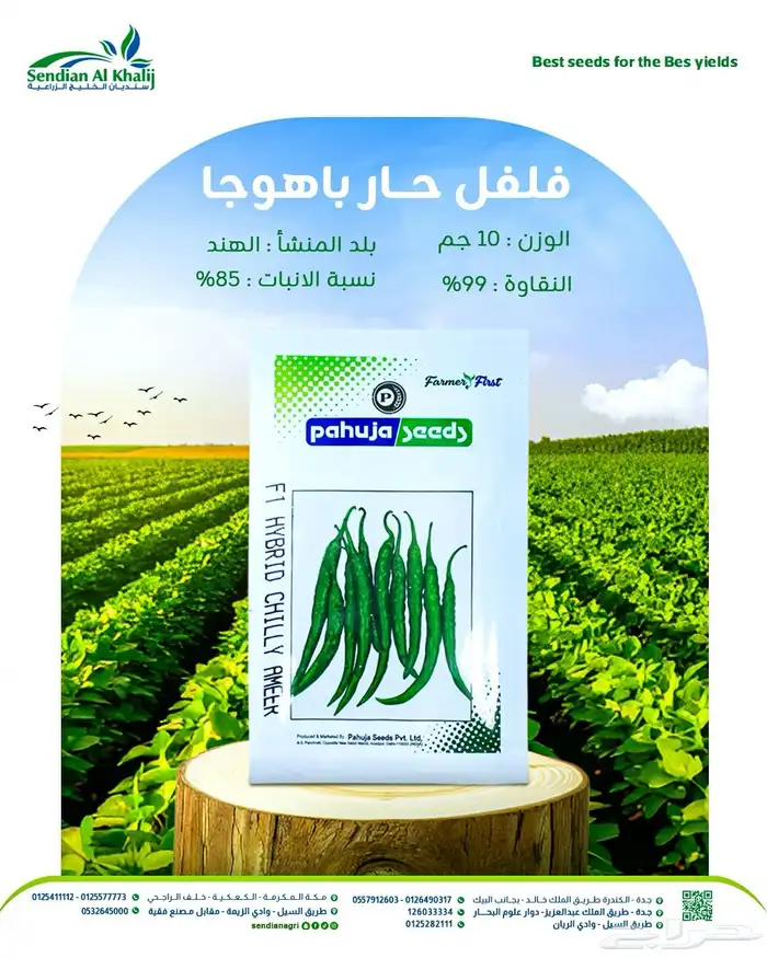 مصمم جرافيكس 5