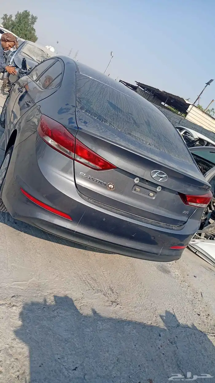 النتراء 2018 3