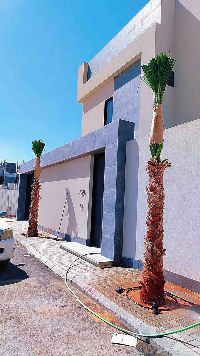 نخل نخيل واشنطن 5