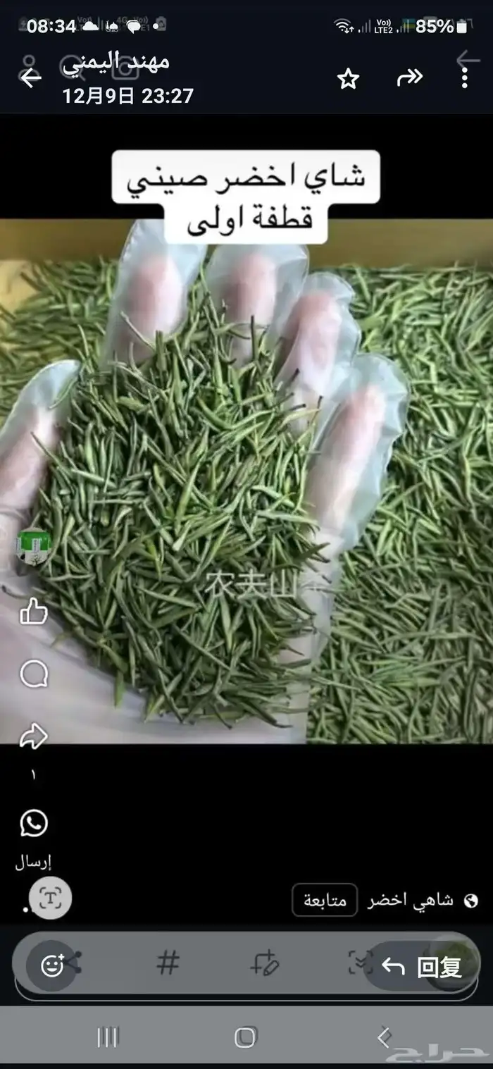 شاي الفور الاخصر الصيني 4