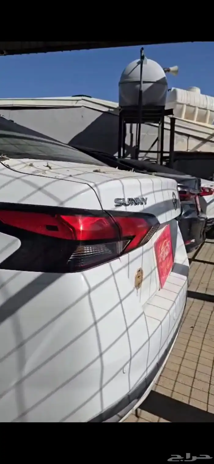 صاني ميكسيكية 2022 0