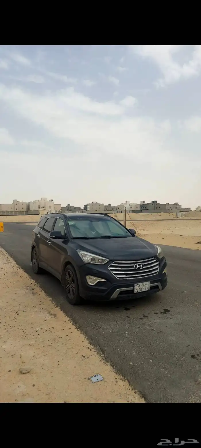 سنتافي 2014 8