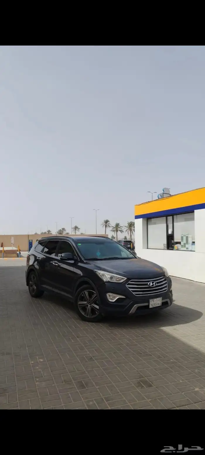 سنتافي 2014 0