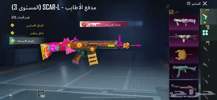 حساب ببجي للبيع لفل 80 17