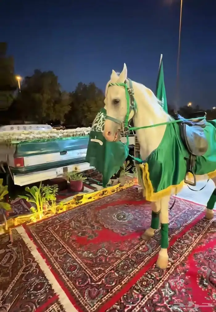 اجار جمال رحول وخيل عربية اصيلة 1