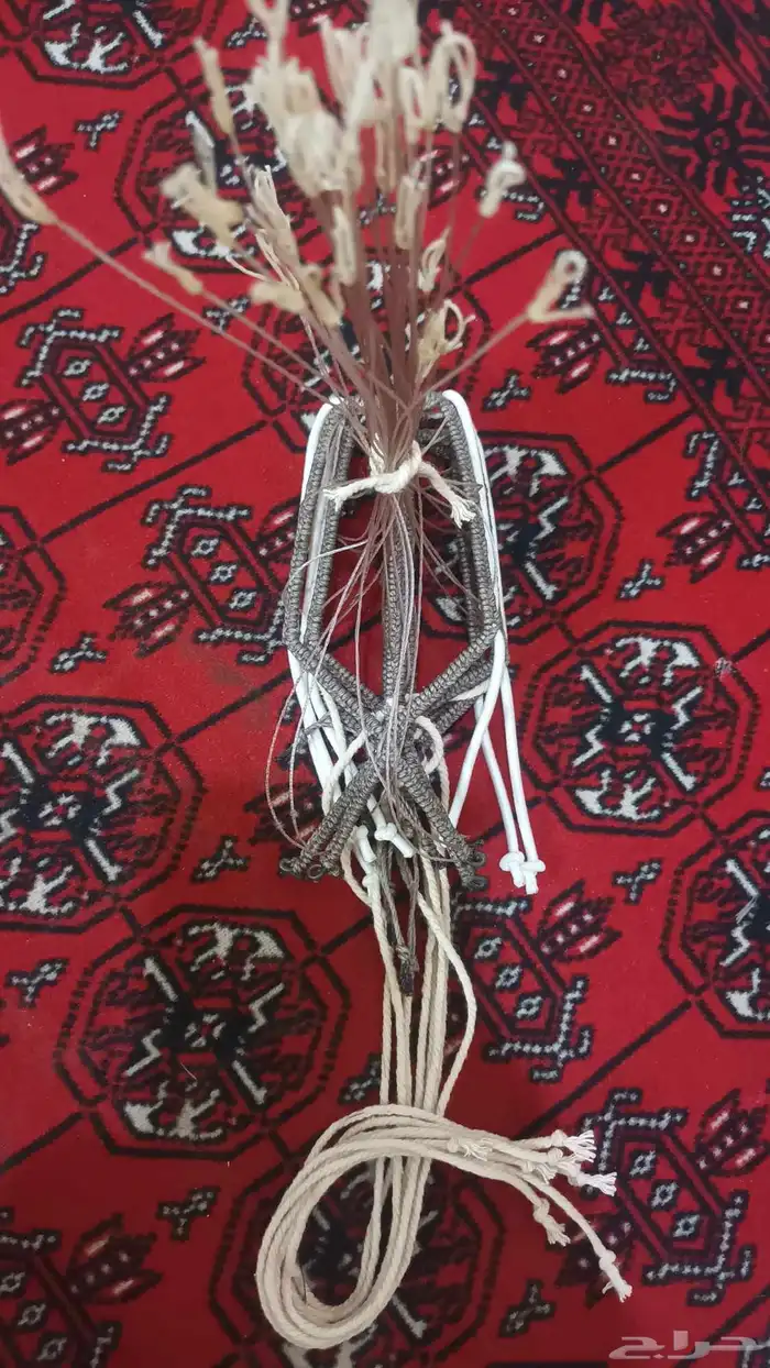 شبك مقناص حمام قطا قمري سمان جربوع نقل قراشع 7