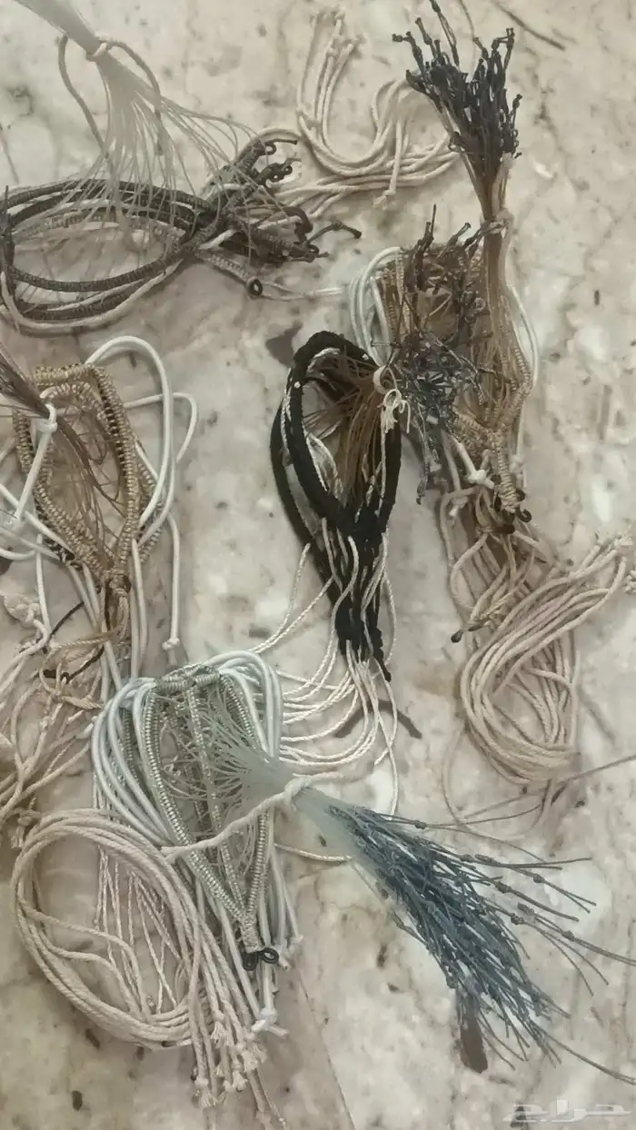 شبك مقناص حمام قطا قمري سمان جربوع نقل قراشع 3