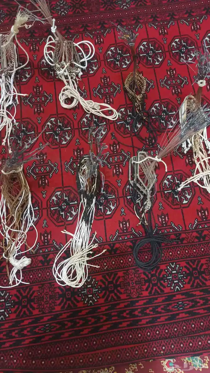 شبك مقناص حمام قطا قمري سمان جربوع نقل قراشع 0