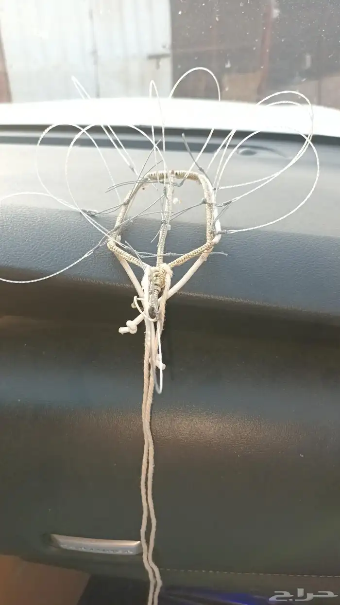 شبك مقناص حمام قطا قمري سمان جربوع نقل قراشع 13