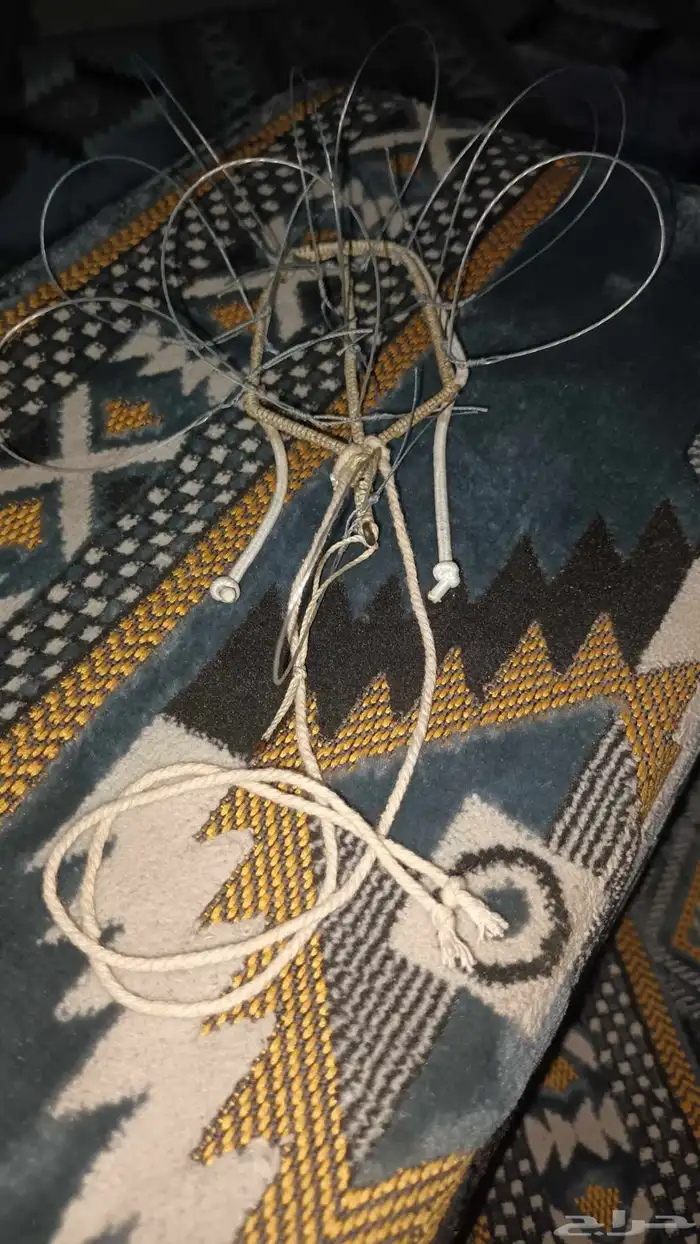 شبك مقناص حمام قطا قمري سمان جربوع نقل قراشع 14