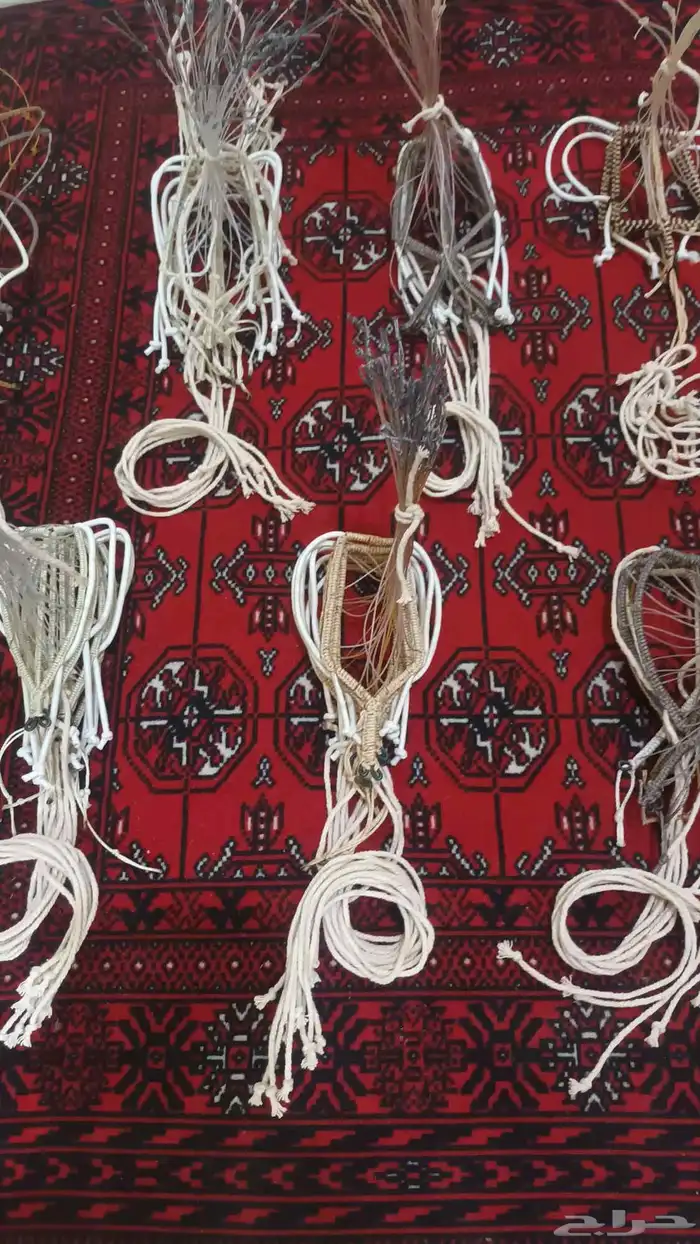 شبك مقناص حمام قطا قمري سمان جربوع نقل قراشع 2